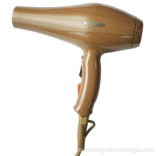 Powerful Professional Hair Dryer #8917